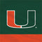 University of Miami Hurricanes Flag Xbox 360 (Includes HDD) Skin